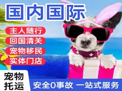 青岛空运地址国际宠物托运 【国